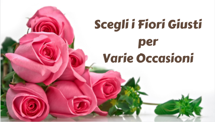 Scegli i Fiori Giusti per Varie Occasioni