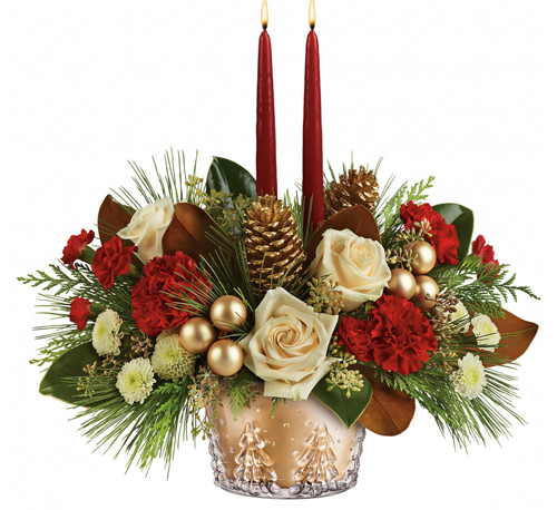 Centro di Pini Invernali