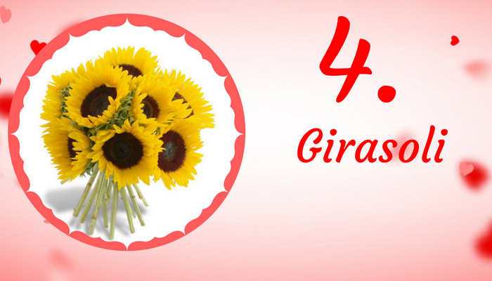Girasoli