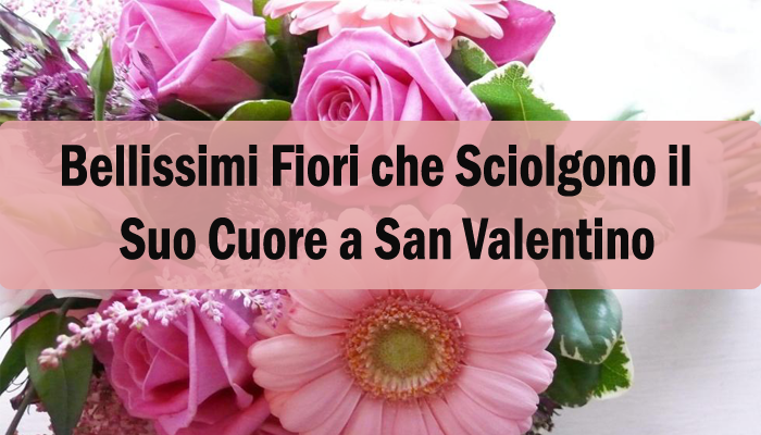 Bellissimi Fiori che Sciolgono il Suo Cuore a San Valentino