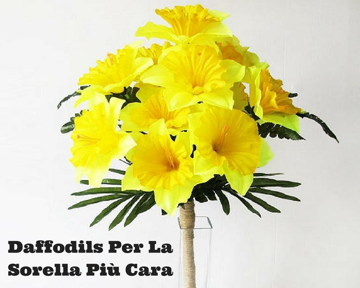 Daffodils Per La Sorella Più Cara