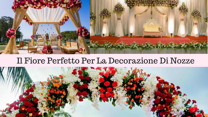 Il Fiore Perfetto Per La Decorazione Di Nozze