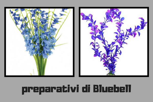 Preparativi di Bluebell