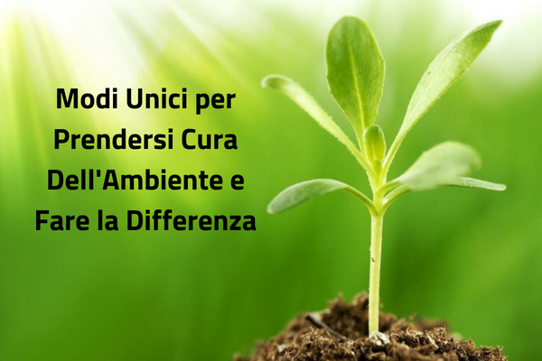 Modi Unici per Prendersi Cura Dell'Ambiente e Fare la Differenza