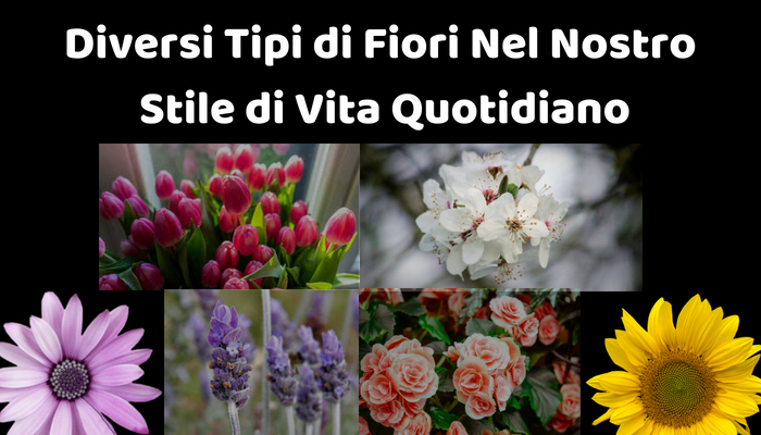 Diversi tipi di fiori nel nostro stile di vita quotidiano