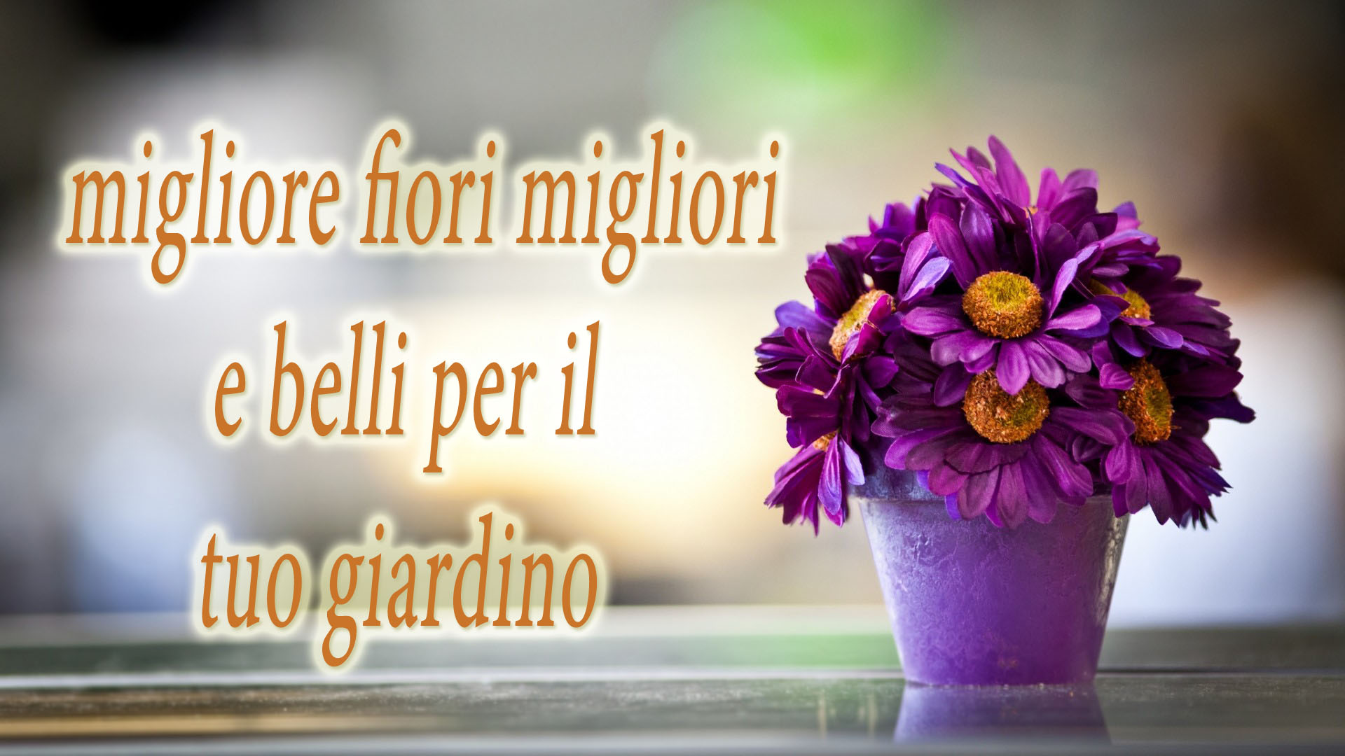 Migliore Fiori Migliori e Belli Per Il Tuo Giardino