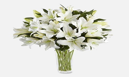 Gigli bianchi per la bella donna