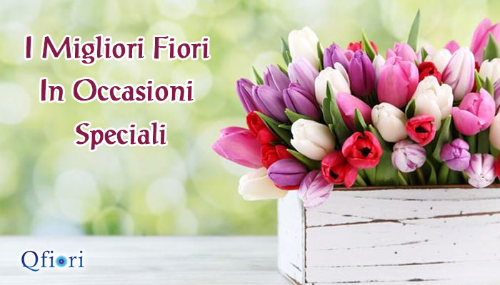 I Migliori Fiori in Occasioni Speciali