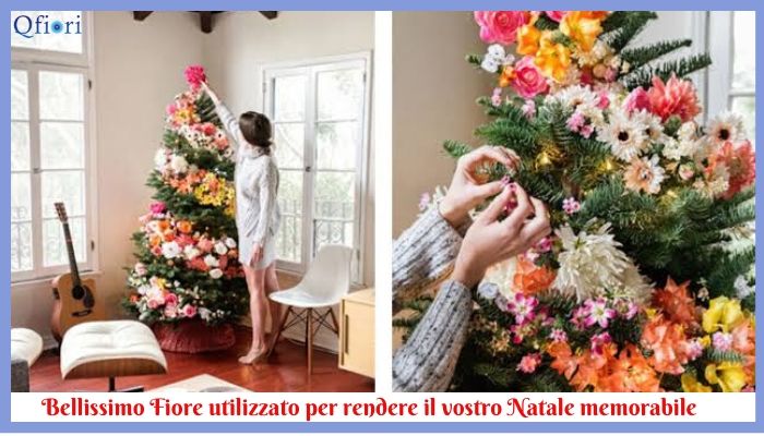 Bellissimo Fiore utilizzato per rendere il vostro Natale memorabile