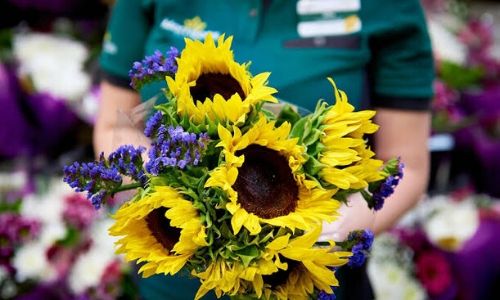 4. Meteo con Floral Ottenere insieme!