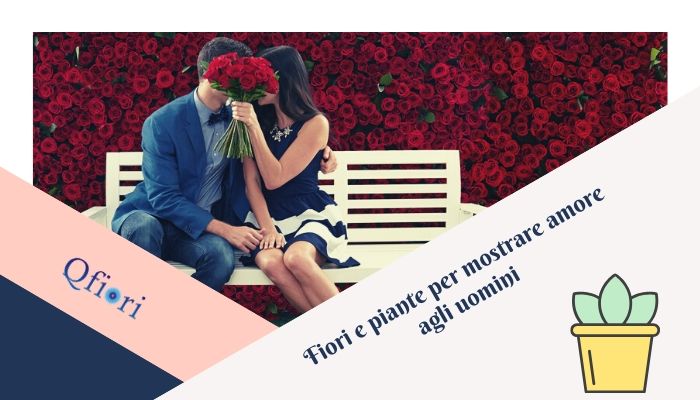 7 Fiori E Piante Speciali Per Mostrare Amore Agli Uomini