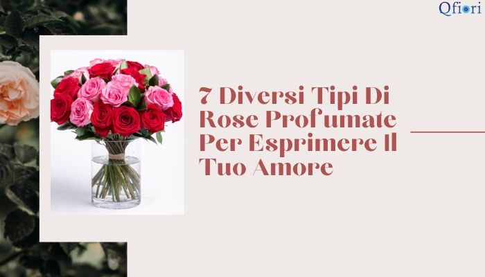 7 Diversi Tipi Di Rose Profumate Per Esprimere Il Tuo Amore