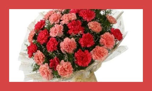 2. Bellissimi garofani