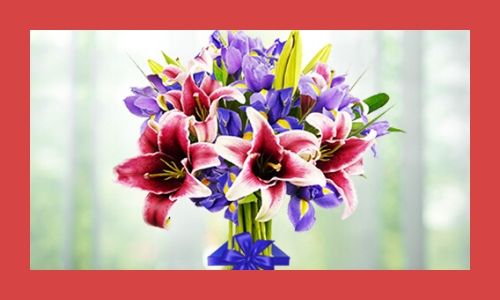 3. Gigli di San Valentino