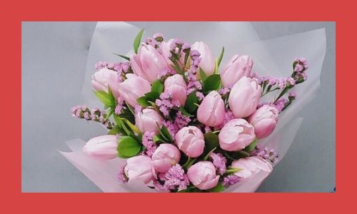 4. Tulipani colorati