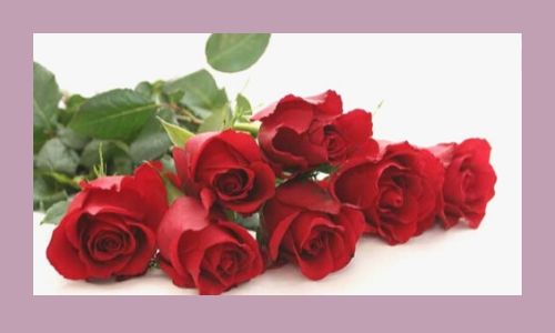 5) Sette rose rosse
