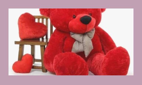 7) Orsacchiotto speciale