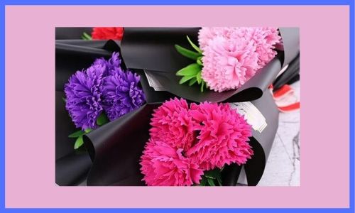 3. Bellissimo garofano