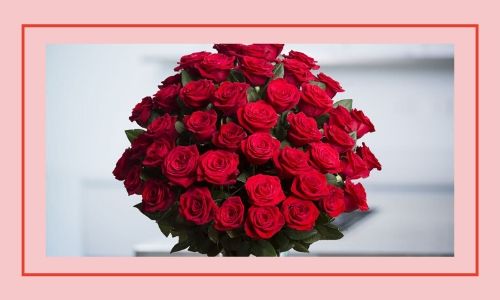 2) Rose rosse