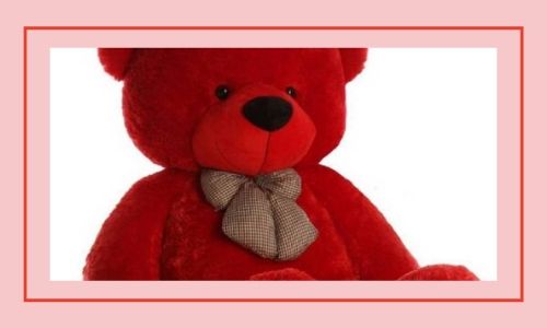 4) Orsi orsacchiotto