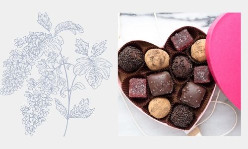 4. Deliziosi cioccolatini