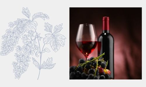 5. Romantica bottiglia di vino