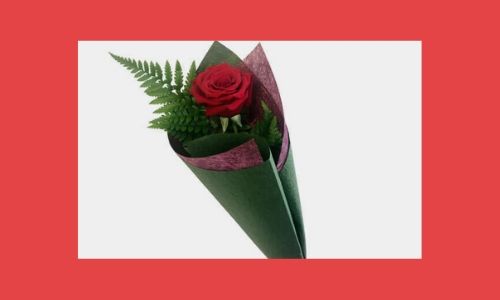 7. Bouquet di rose rosse single