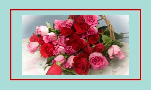 3. Bouquet di rose rosse e rosa 