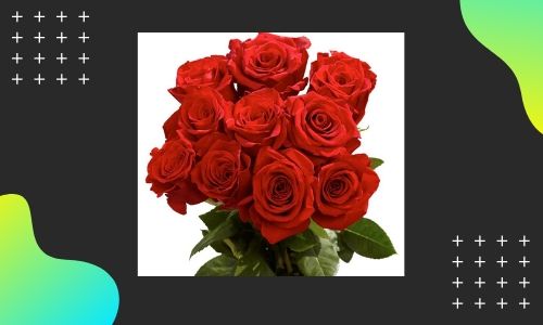 7. Bouquet di rose rosse
