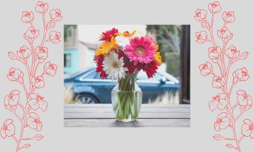 5. Bouquet di margherite