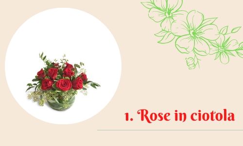 1. Rose in ciotola