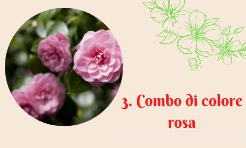 3. Combo di colore rosa