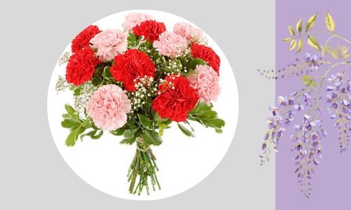 4. Adorabili garofani rosa e rossi