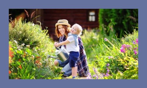 4. Migliorano l'ambiente