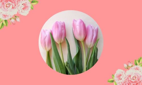 2. Tulipani eleganti