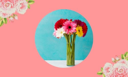 5. Gerbere straordinarie