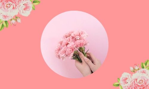 7. Garofani affascinanti