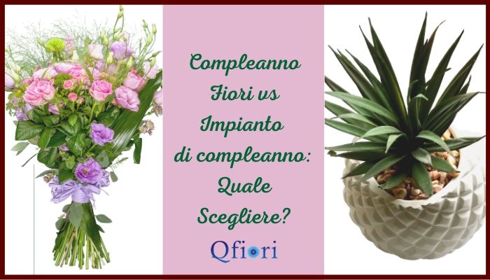Compleanno fiori vs impianto di compleanno: quale scegliere?