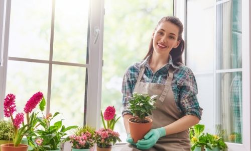 4) Le piante influenzano l'umore