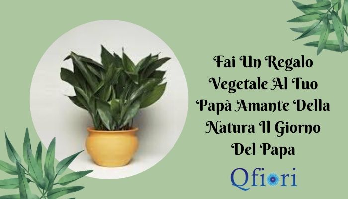 Fai Un Regalo Vegetale Al Tuo Papà Amante Della Natura Il Giorno Del Papa