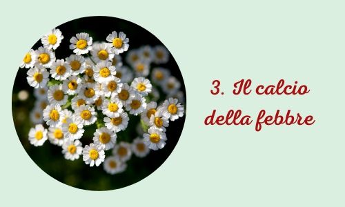 3. Il calcio della febbre