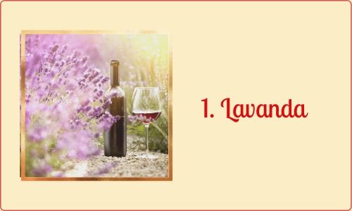 1. Lavanda
