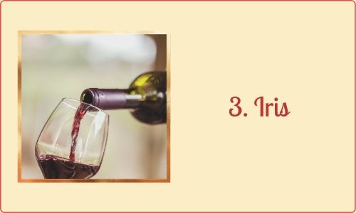 3. Iris