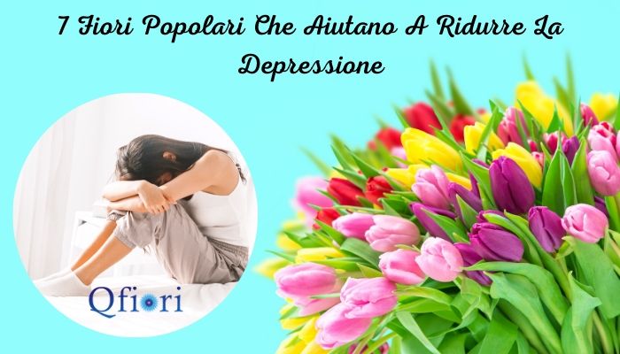 7 Fiori Popolari Che Aiutano A Ridurre La Depressione