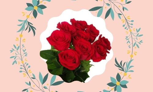 1. Rose rosse