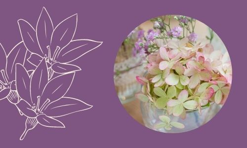 7) Decorazioni per feste