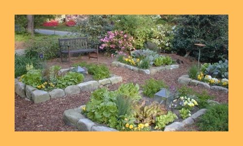 4. Giardino fiorito di erbe