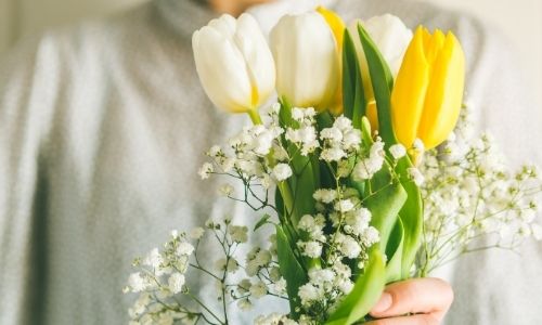 1.Fiore di tulipani bianchi