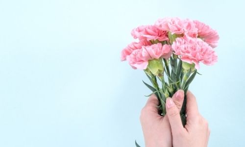 2. Fiore di garofani rosa