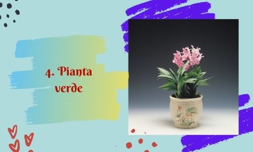 4. Pianta verde